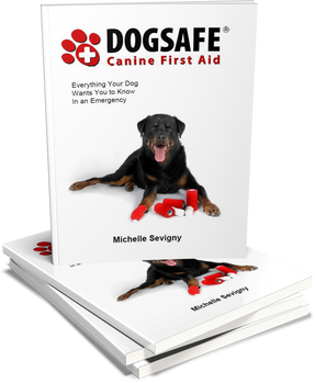 Dogsafe 101 - Dogsafe Canine First Aid
